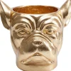 KARE Design Caches Pots|Cachepot Décoratif Bulldog Dore