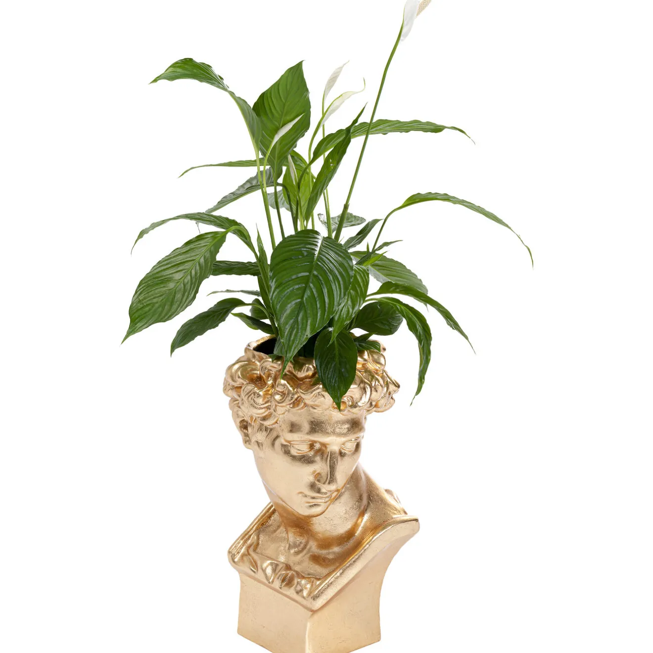 KARE Design Caches Pots|Cachepot Décoratif David Dore