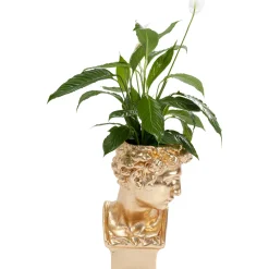 KARE Design Caches Pots|Cachepot Décoratif David Dore