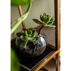 KARE Design Etagères De Séparation|Etagere Cesaro 90X170Cm