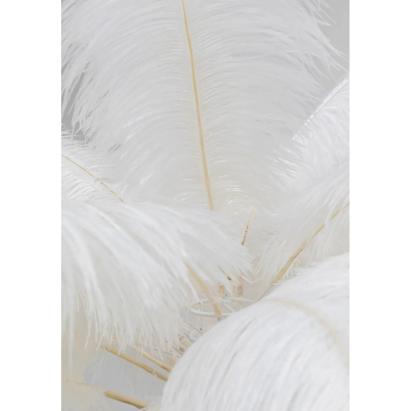 KARE Design Lampadaires|Lampadaire Feather Palm Blanc 165Cm