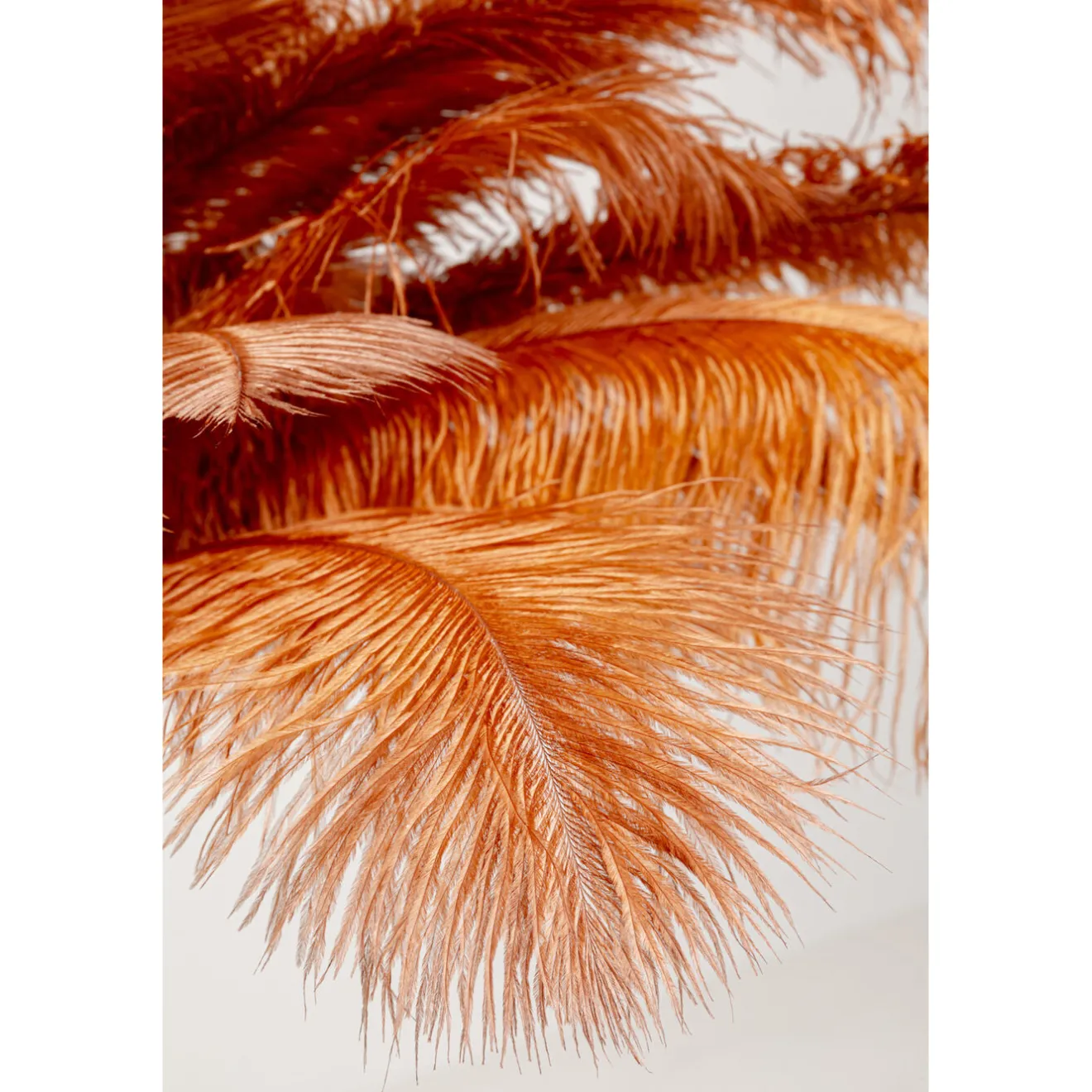 KARE Design Lampadaires|Lampadaire Feather Palm Rusty Red 165Cm
