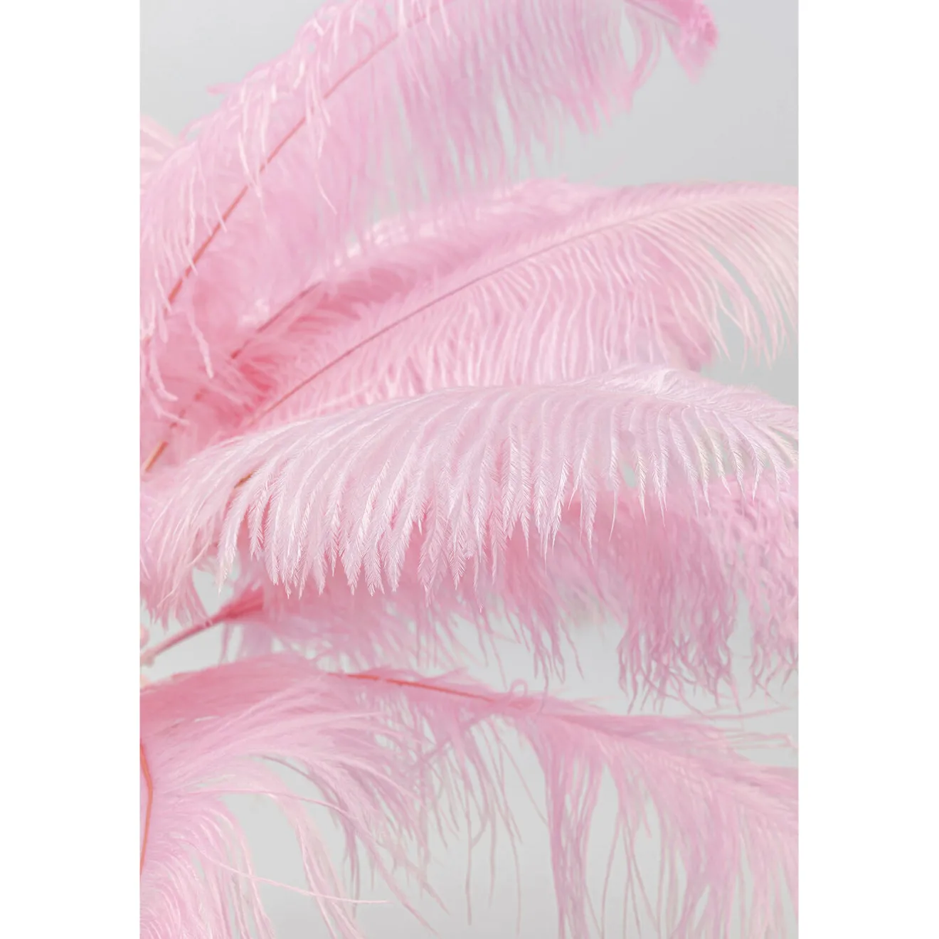 KARE Design Lampes De Table|Lampe A Poser Feather Palm Fuchsia 60Cm