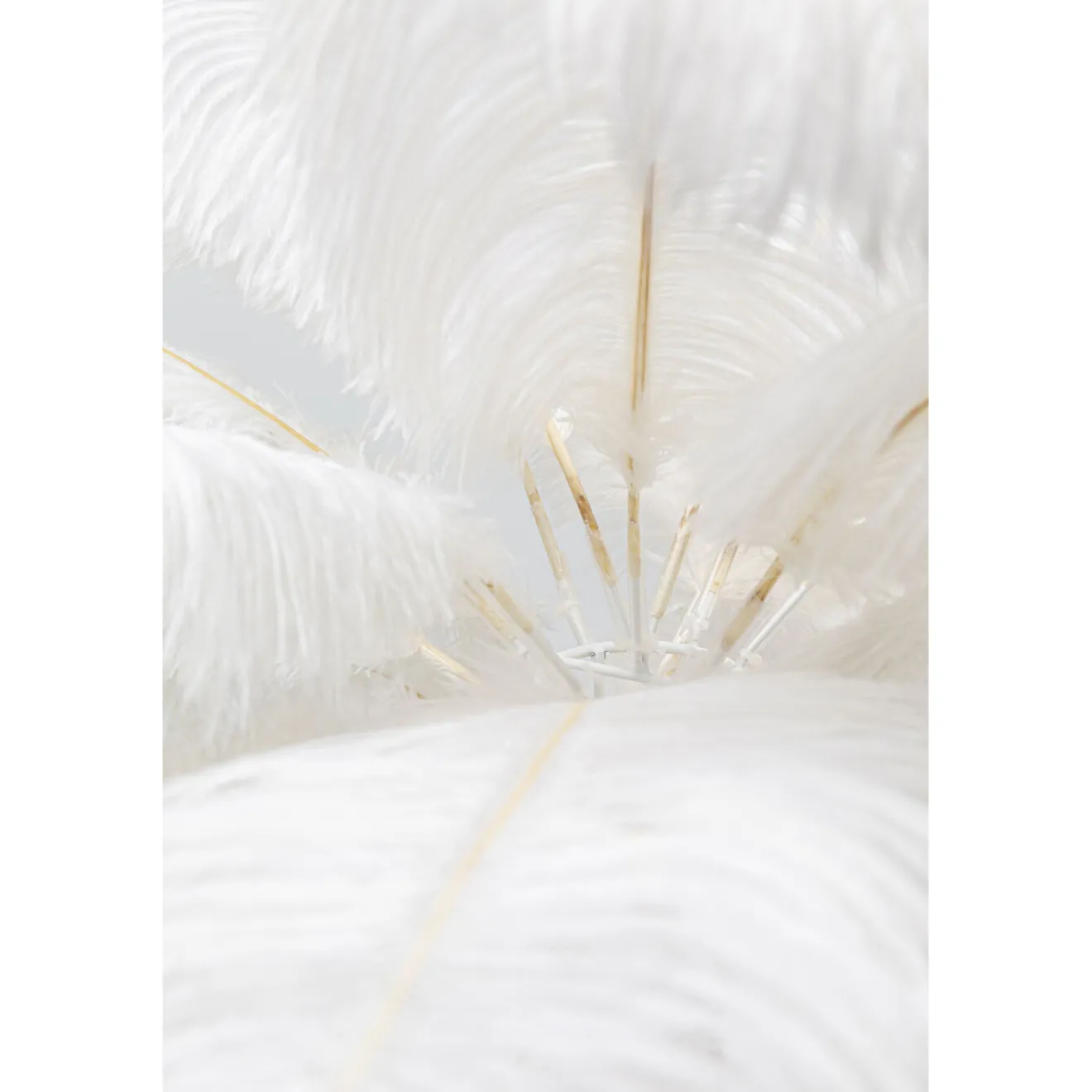 KARE Design Lampes De Table|Lampe A Poser Feather Palm Blanc 60Cm