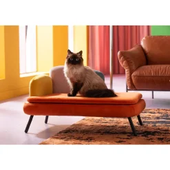 KARE Design Autres Petits Meubles|Lit Pour Chien/Chat Diva Orange