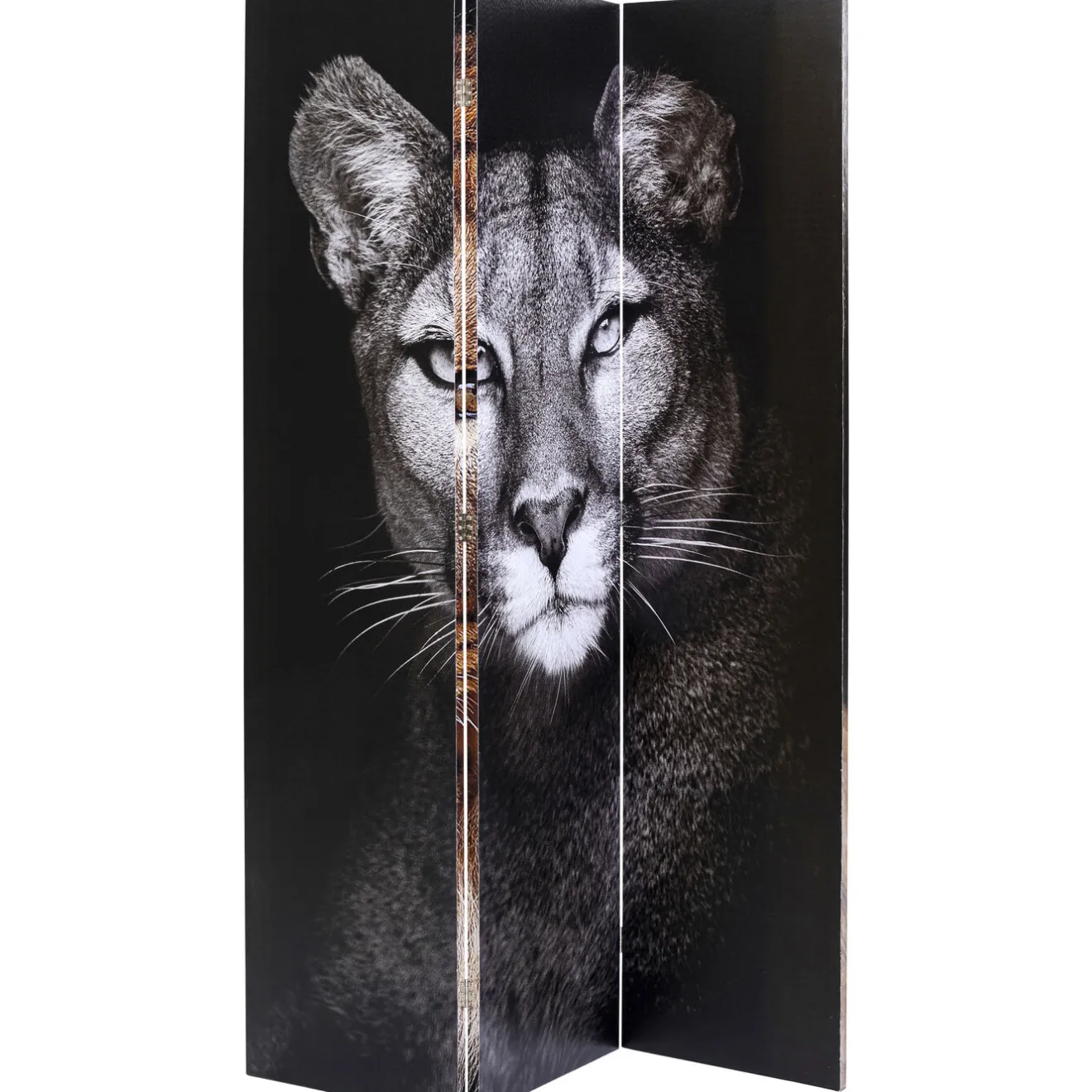 KARE Design Paravents|Paravent King Lion Vs Cat Girl 120X180