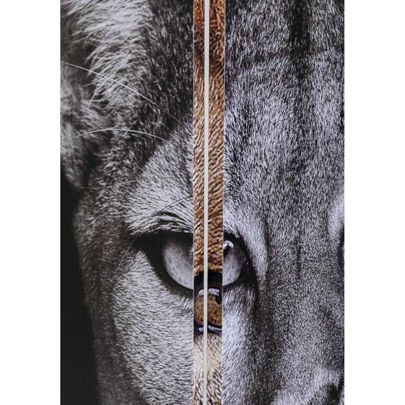 KARE Design Paravents|Paravent King Lion Vs Cat Girl 120X180