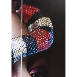 KARE Design Paravents|Paravent Royal Headdress Vs Snake Girl 120X180