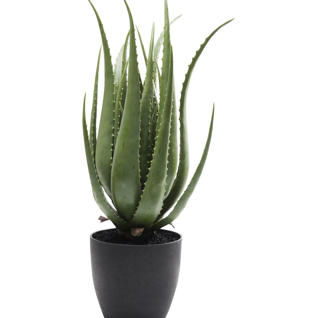 KARE Design Plantes Artificielles|Plante Décorative Aloe 69Cm