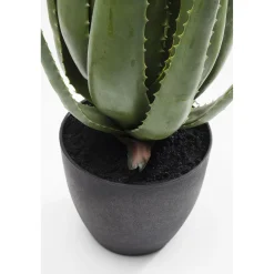 KARE Design Plantes Artificielles|Plante Décorative Aloe 69Cm