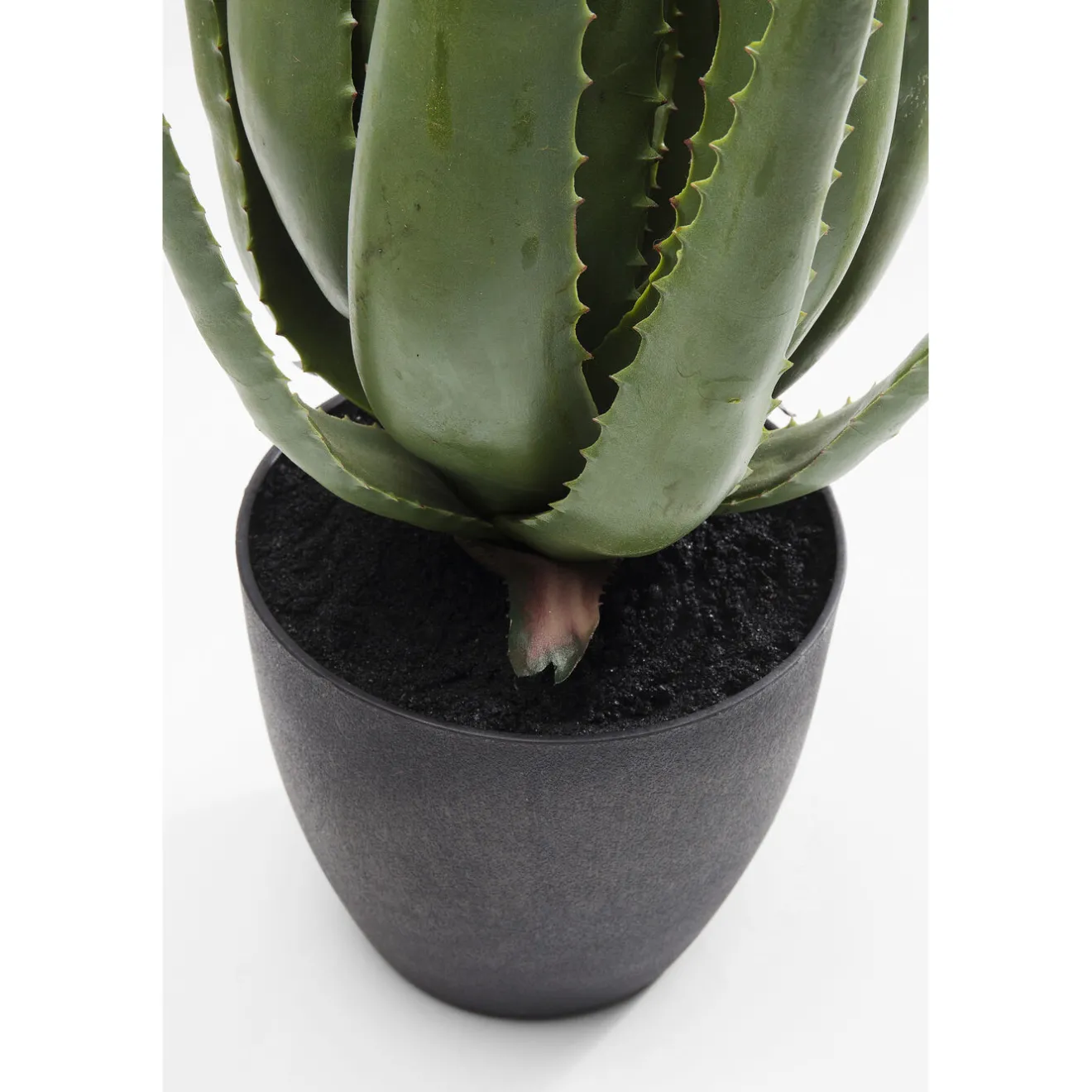 KARE Design Plantes Artificielles|Plante Décorative Aloe 69Cm