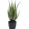 KARE Design Plantes Artificielles|Plante Décorative Aloe 69Cm