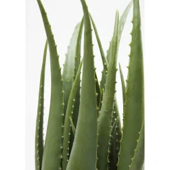 KARE Design Plantes Artificielles|Plante Décorative Aloe 69Cm