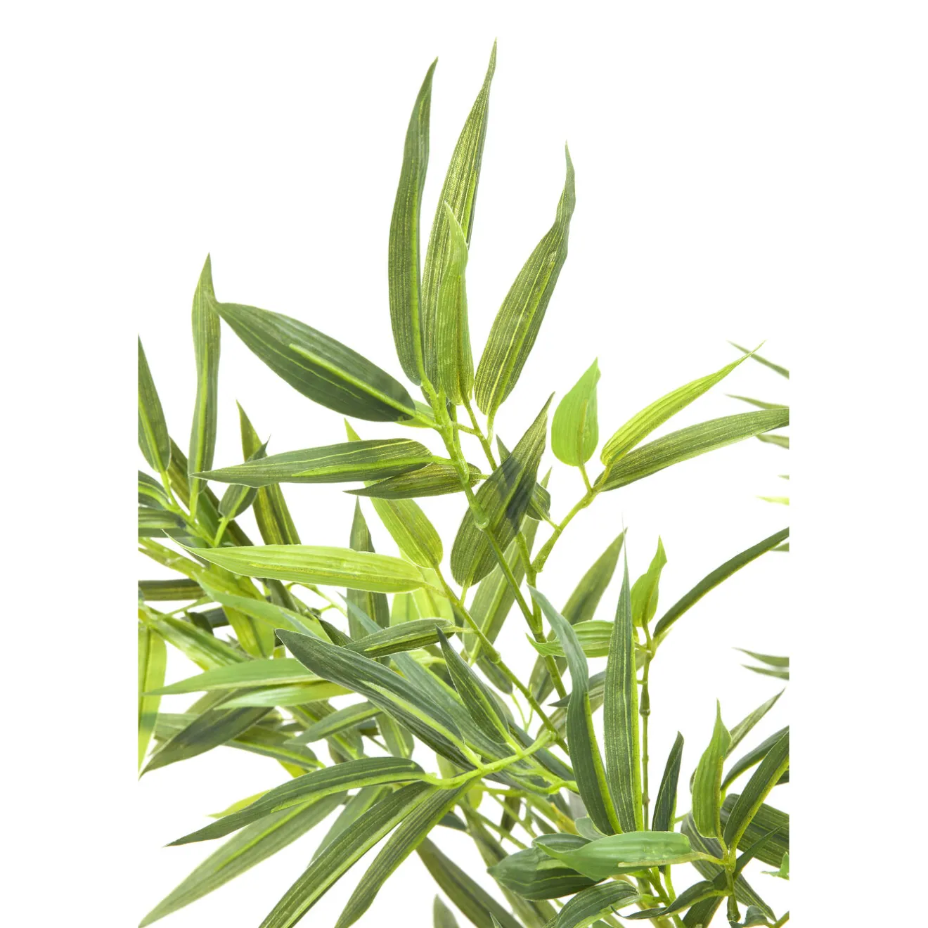 KARE Design Plantes Artificielles|Plante Décorative Bamboo Tree 200Cm