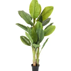KARE Design Plantes Artificielles|Plante Décorative Banana Tree 180Cm