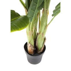 KARE Design Plantes Artificielles|Plante Décorative Banana Tree 180Cm