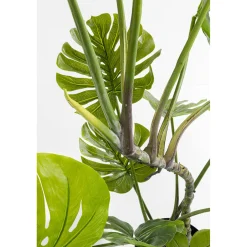 KARE Design Plantes Artificielles|Plante Décorative Monstera 110