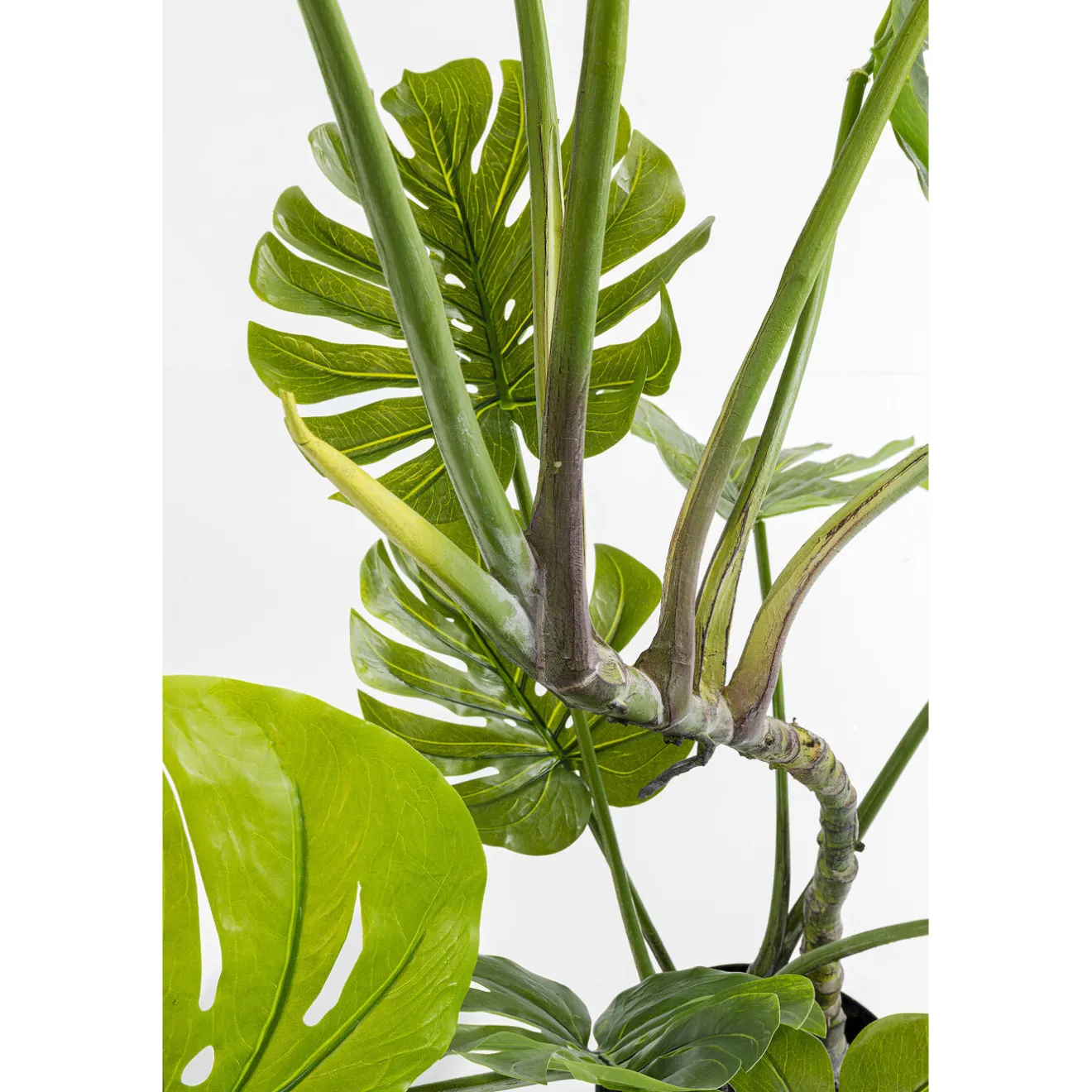 KARE Design Plantes Artificielles|Plante Décorative Monstera 110