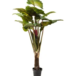 KARE Design Plantes Artificielles|Plante Décorative Rainbow Tree 160Cm