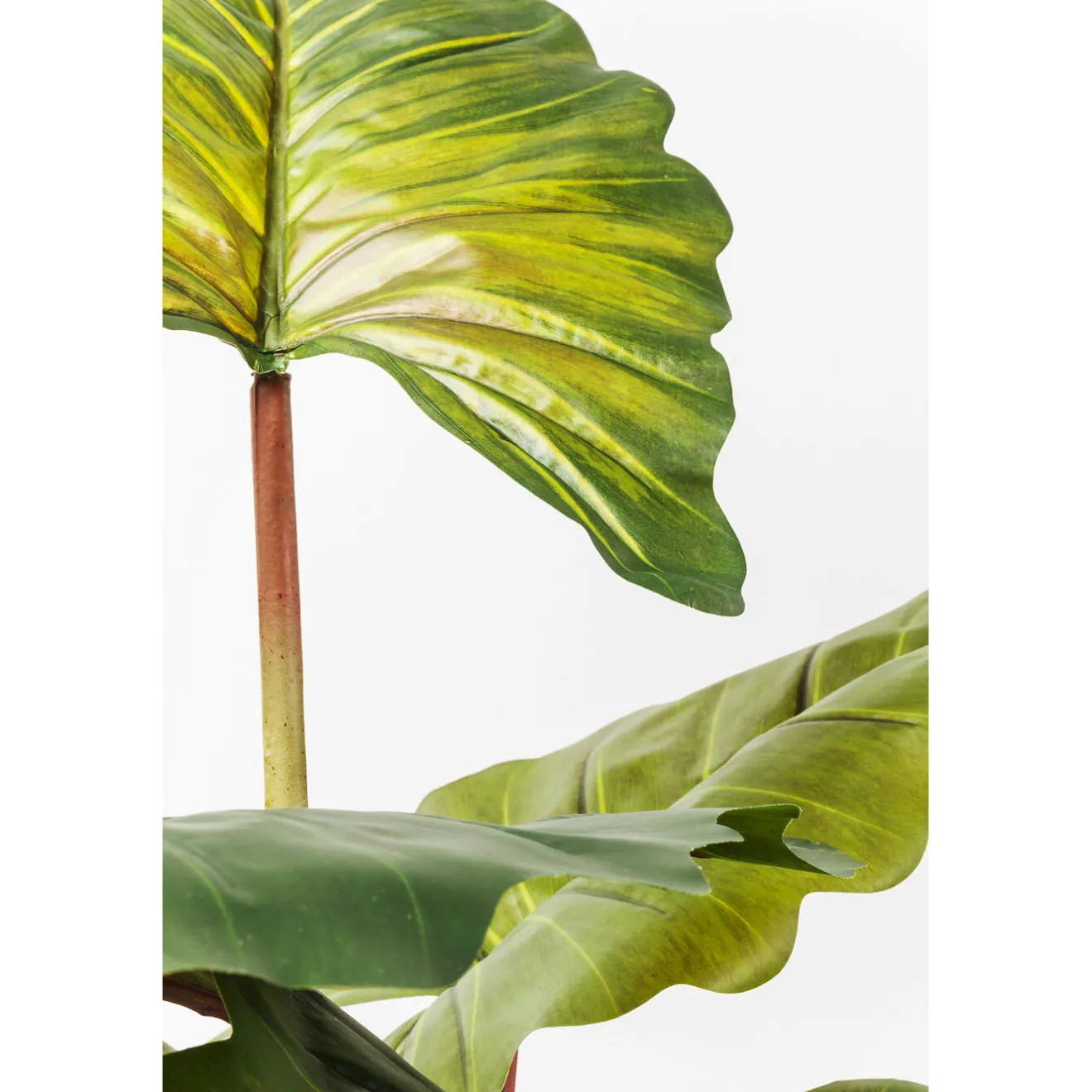 KARE Design Plantes Artificielles|Plante Décorative Rainbow Tree 160Cm