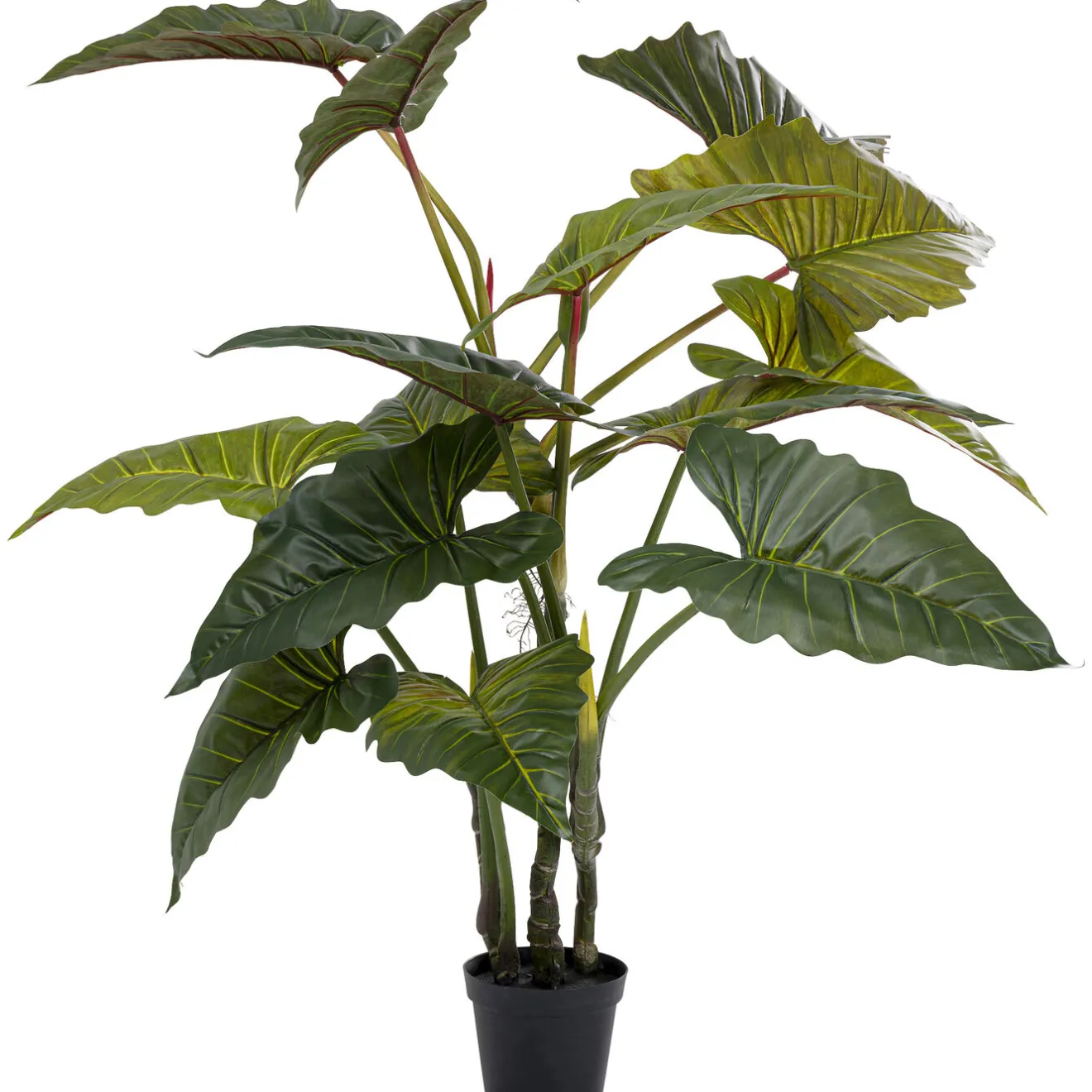 KARE Design Plantes Artificielles|Plante Décorative Taro 180