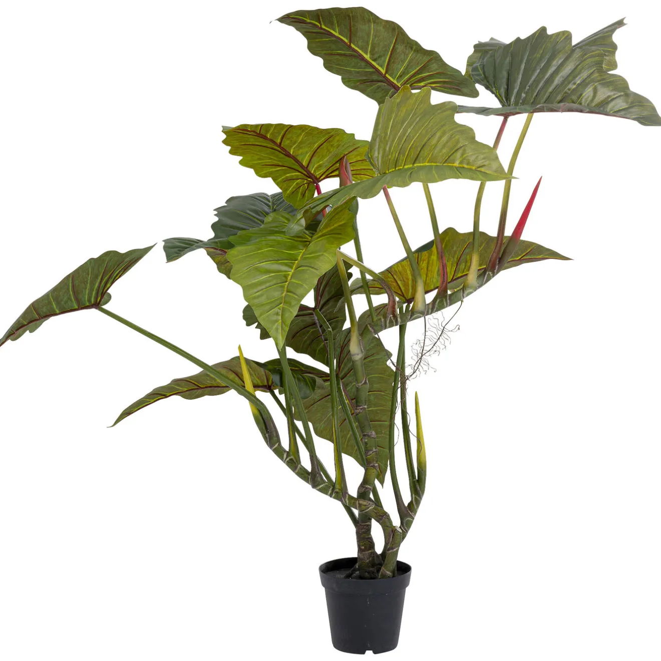 KARE Design Plantes Artificielles|Plante Décorative Taro 180