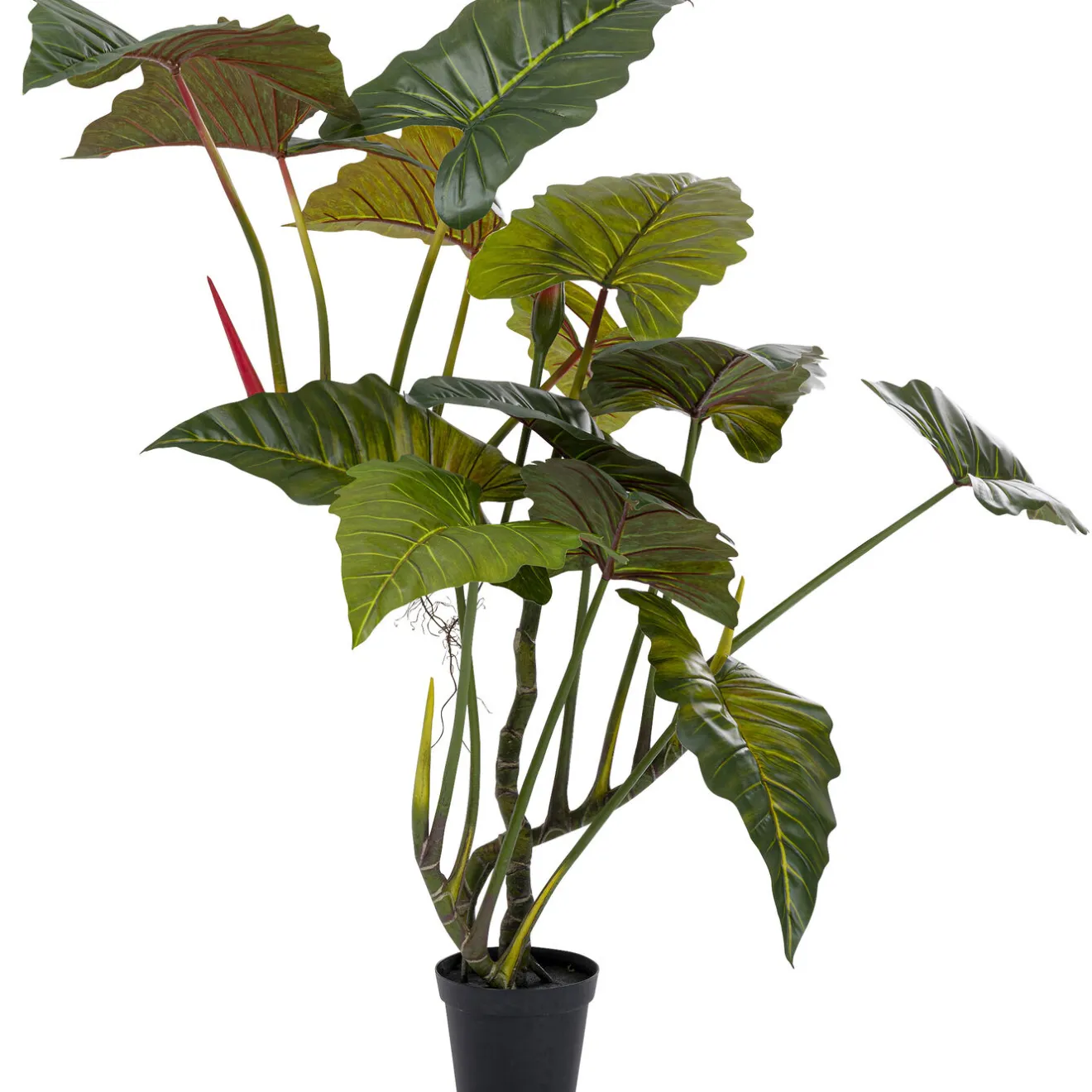 KARE Design Plantes Artificielles|Plante Décorative Taro 180