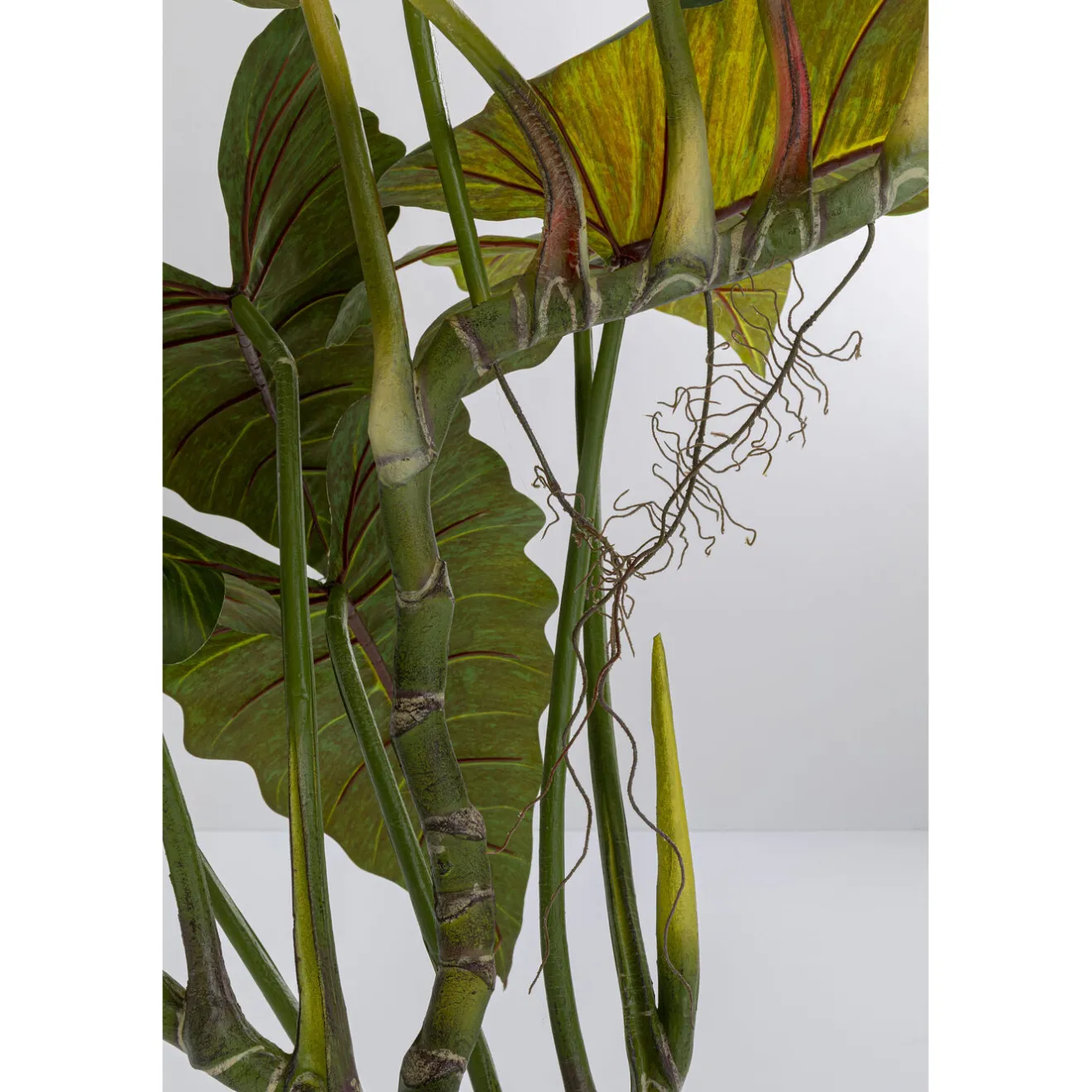 KARE Design Plantes Artificielles|Plante Décorative Taro 180