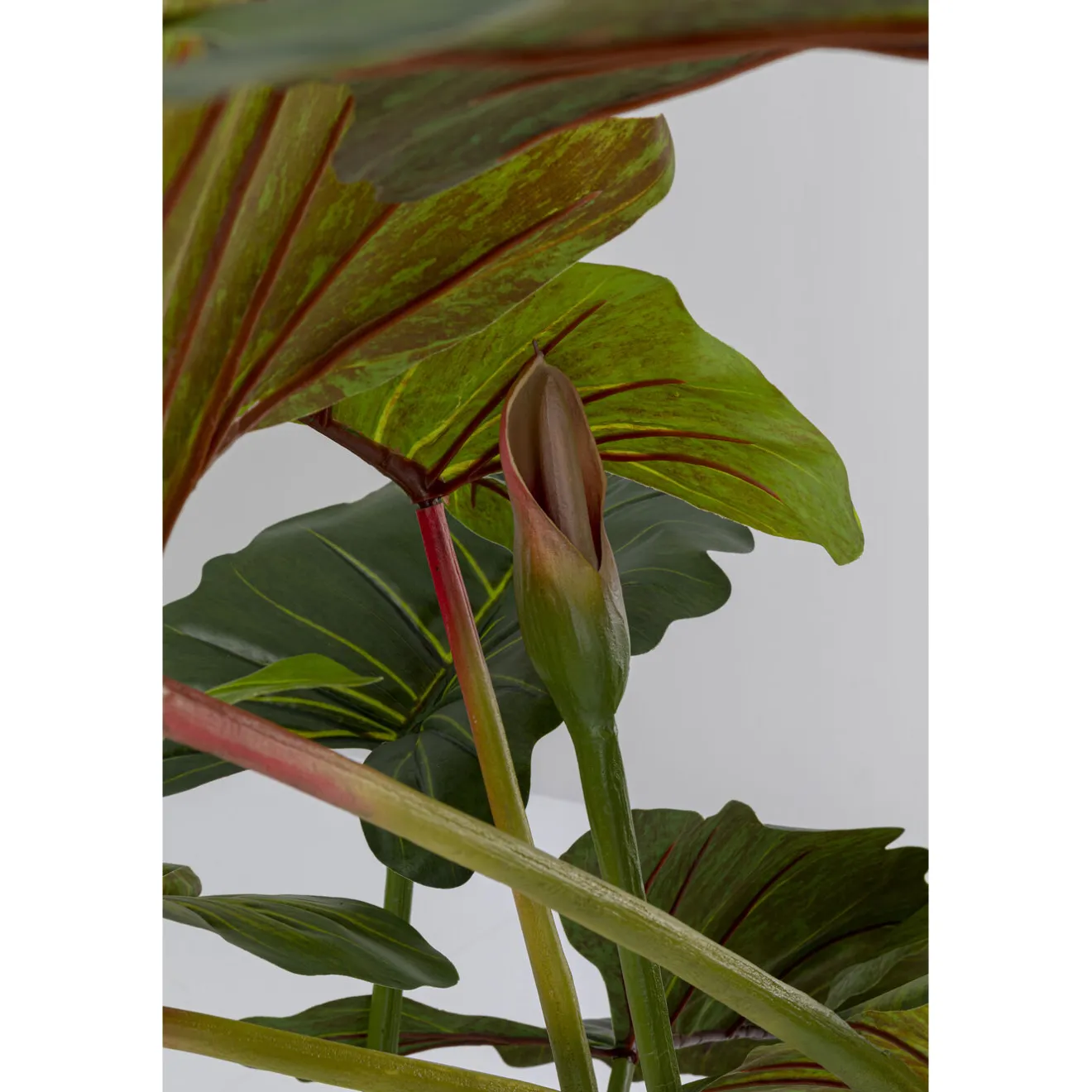 KARE Design Plantes Artificielles|Plante Décorative Taro 180