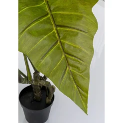 KARE Design Plantes Artificielles|Plante Décorative Taro 180