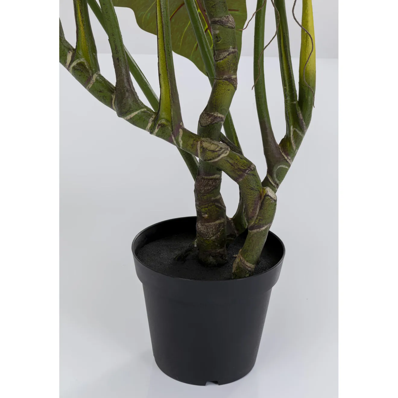 KARE Design Plantes Artificielles|Plante Décorative Taro 180