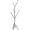 KARE Design Portemanteaux|Portemanteau Tree Branch 183