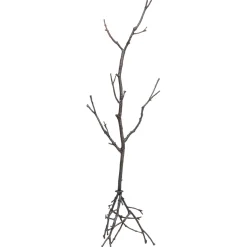 KARE Design Portemanteaux|Portemanteau Tree Branch 183