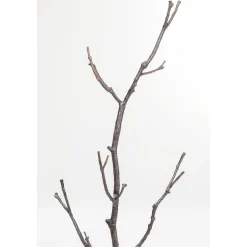 KARE Design Portemanteaux|Portemanteau Tree Branch 183