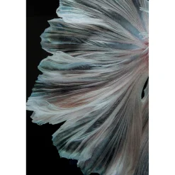 KARE Design Tableaux En Verre|Tableau En Verre Colorful Swarm Fish 120X120Cm