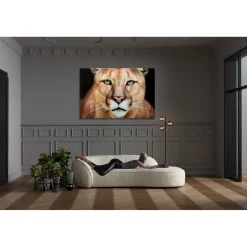 KARE Design Tableaux En Verre|Tableau En Verre Lioness 150X100Cm