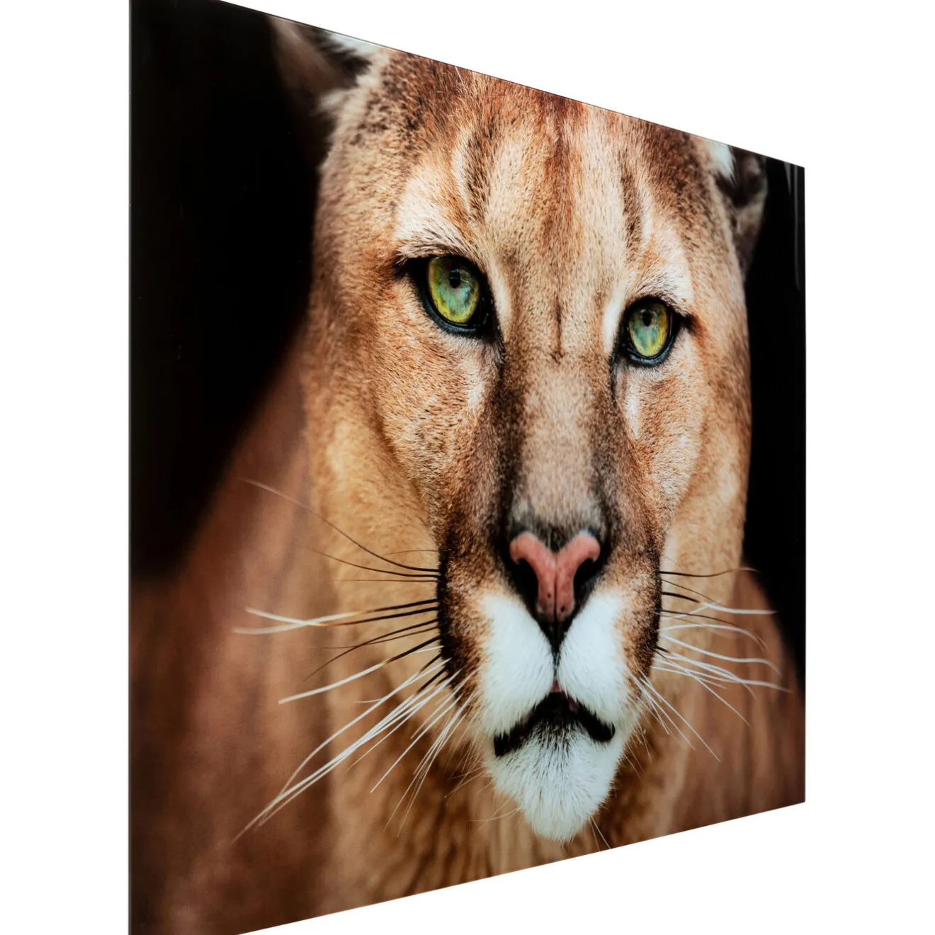 KARE Design Tableaux En Verre|Tableau En Verre Lioness 150X100Cm
