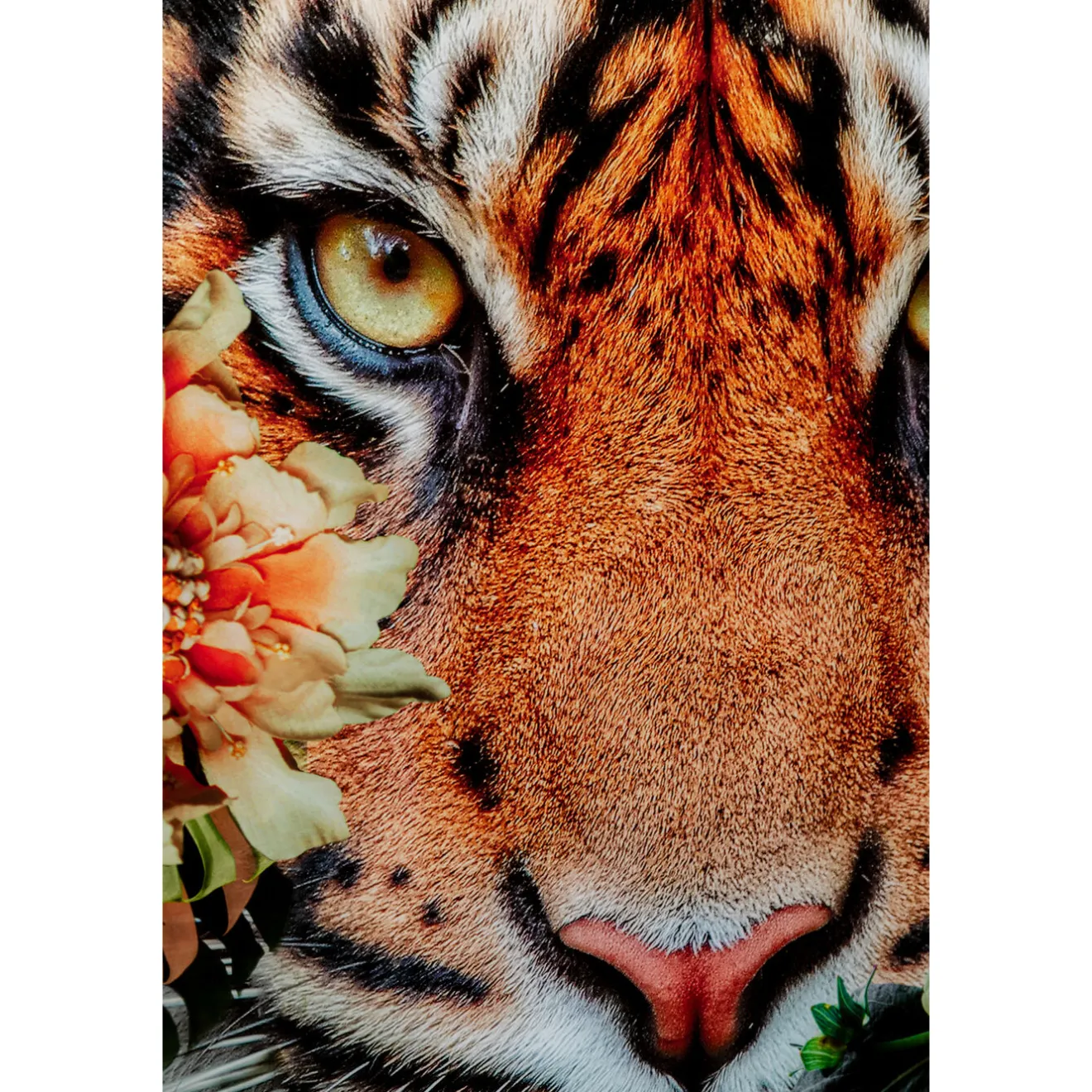 KARE Design Tableaux En Verre|Tableau En Verre Tiger On Hunt 150X100Cm
