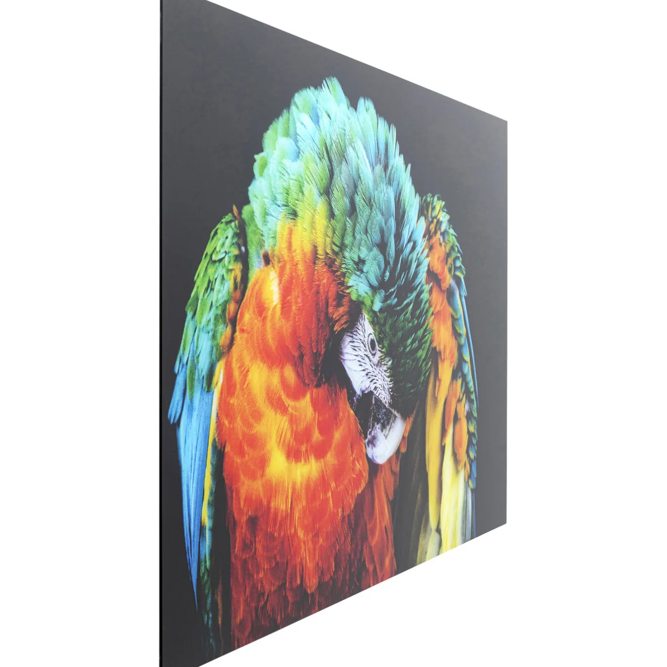KARE Design Tableaux En Verre|Tableau En Verre Tropical Parrot 120X80Cm