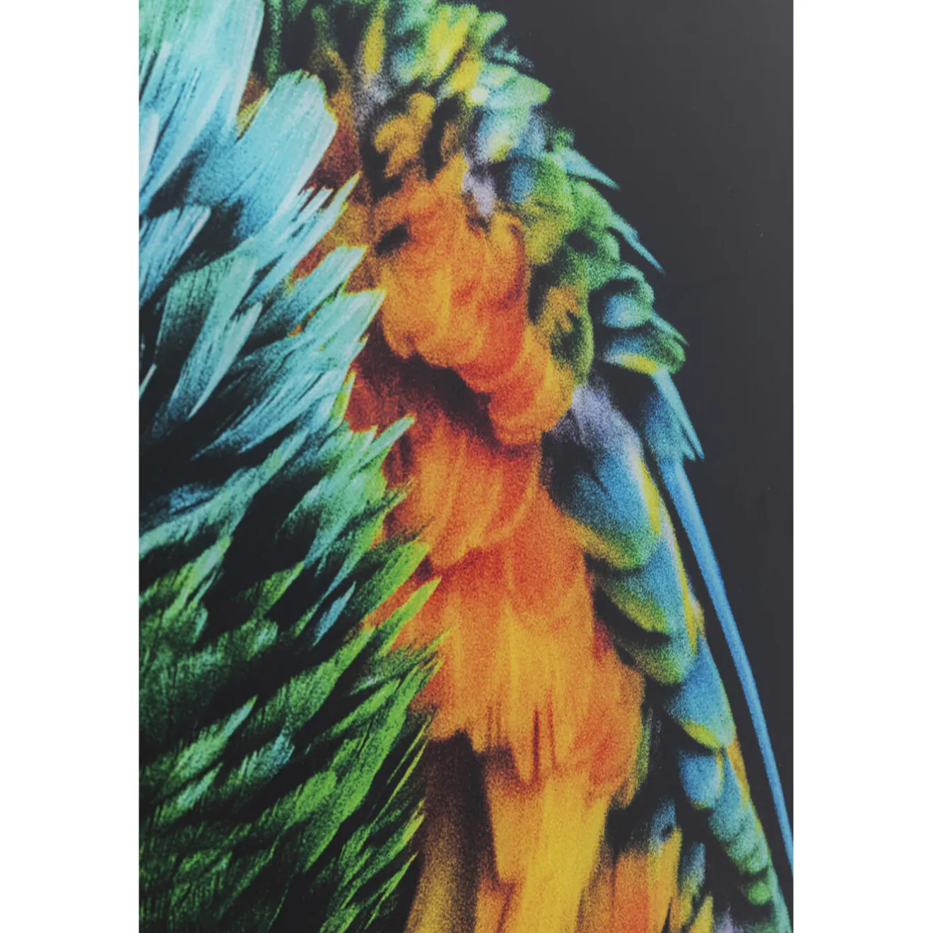 KARE Design Tableaux En Verre|Tableau En Verre Tropical Parrot 120X80Cm