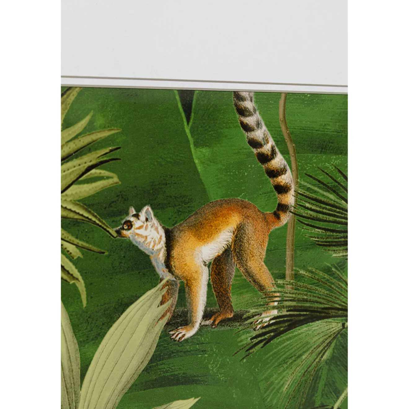 KARE Design Tableaux Encadres|Tableau Encadre Animals In Jungle 80X100Cm