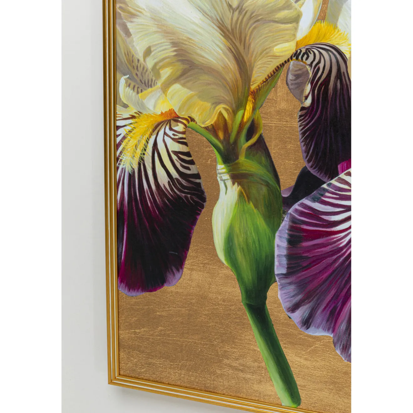 KARE Design Tableaux Encadres|Tableau Encadre Iris 100X150Cm