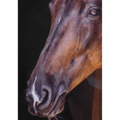 KARE Design Tableaux Encadres|Tableau Encadre Wendy 105X75Cm