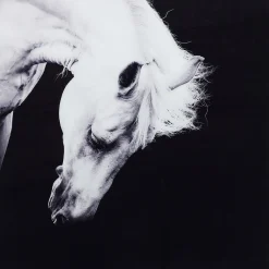 KARE Design Tableaux Encadres|Tableau Frame Alu Proud Horse 100X100Cm