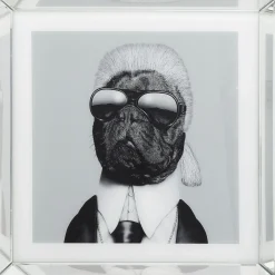KARE Design Tableaux Encadres|Tableau Frame Mirror Designer Dog 60X60Cm