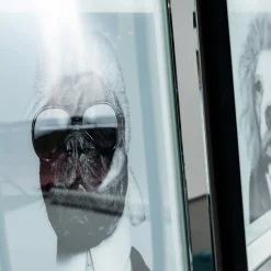 KARE Design Tableaux Encadres|Tableau Frame Mirror Designer Dog 60X60Cm