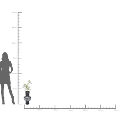 KARE Design Vases|Vase Roulette Belly 42